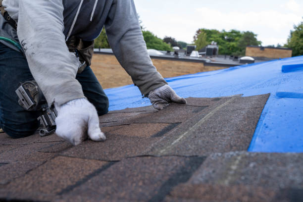 Best Roof Replacement Cost  in Upland, IN