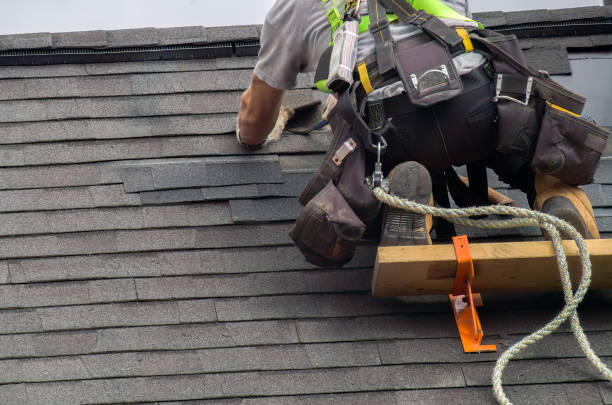 Best Roof Gutter Cleaning  in Upland, IN